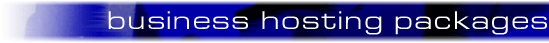 business hosting packages